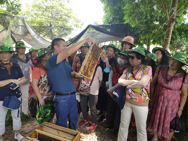 會(huì)員到基地參觀蜜蜂品嘗蜂蜜